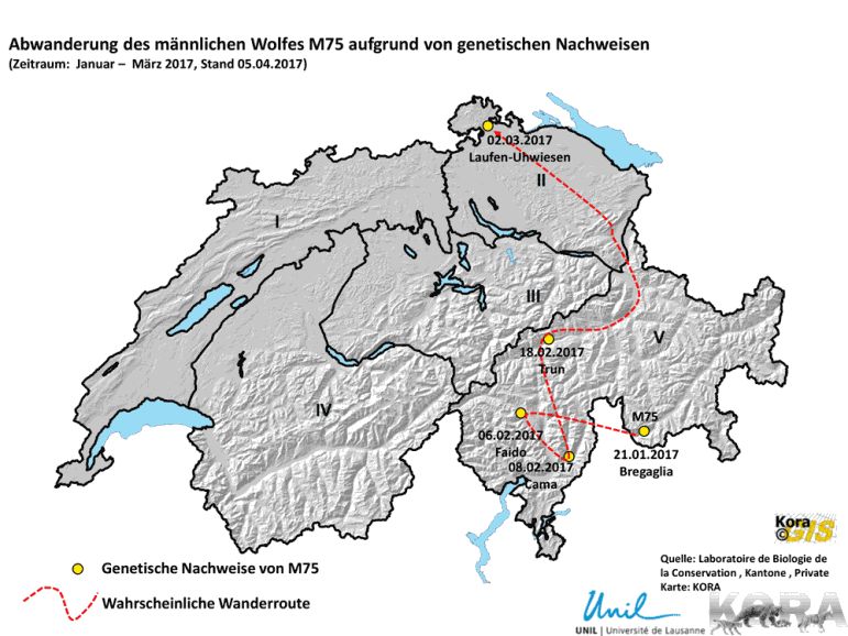 Karte Wolf