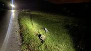 In Siblingen fuhr eine unbekannte Person ein Verkehrsschild um. Bilder: SHPol