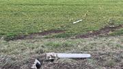 Zwei Fahrzeuge haben bei einem Unfall in Schleitheim Sachschaden verursacht und sich dann von der Unfallstelle entfernt. Die Polizei sucht nach Zeugen. Bild: zVg/Shpol