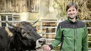 Portrait und Interview von Kilian Baumann, Grï¿ï¾¼nen Nationalrat und Bauer, auf seinem Biohof in Suberg, am Montag, 25. November 2024. (Melanie Duchene / Schaffhauser Nachricht