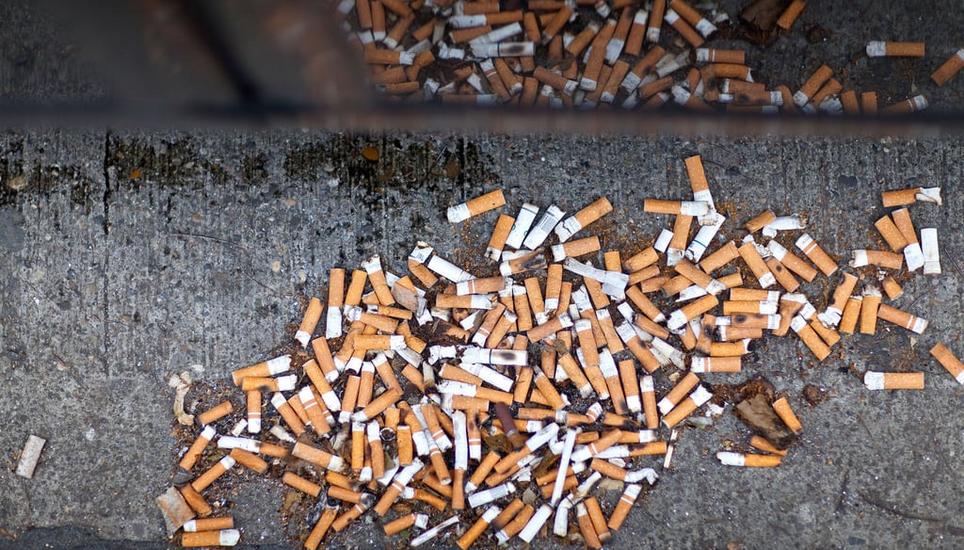 Die achtlos weggeworfenen Zigarettenstummel stellen ein Umweltproblem dar. Keystone