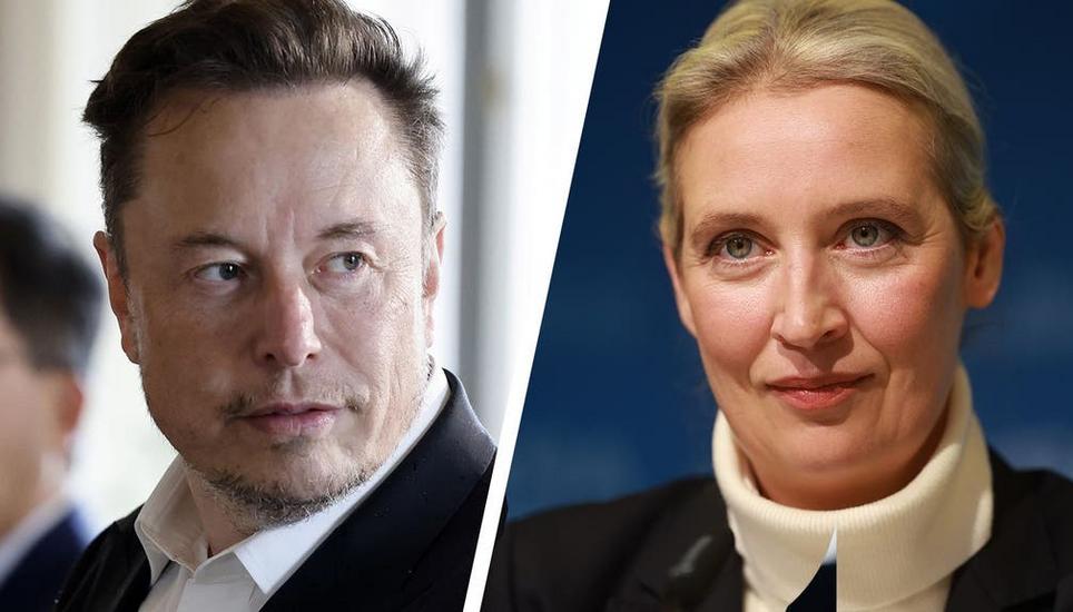 Musk, hier am 27. Oktober 2024, sind die europäischen Digitalgesetze ein Dorn im Auge: X-Chef Elon Musk. Bild: Evan Vucci / AP
