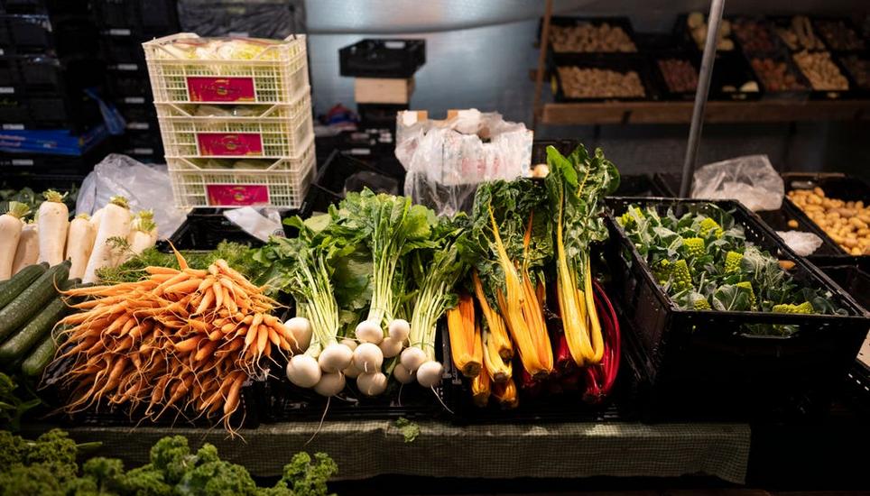 Gesund ist Gemüse sowieso – wie viel macht Bio-Qualität aus? Bild: Gaëtan Bally / Keystone