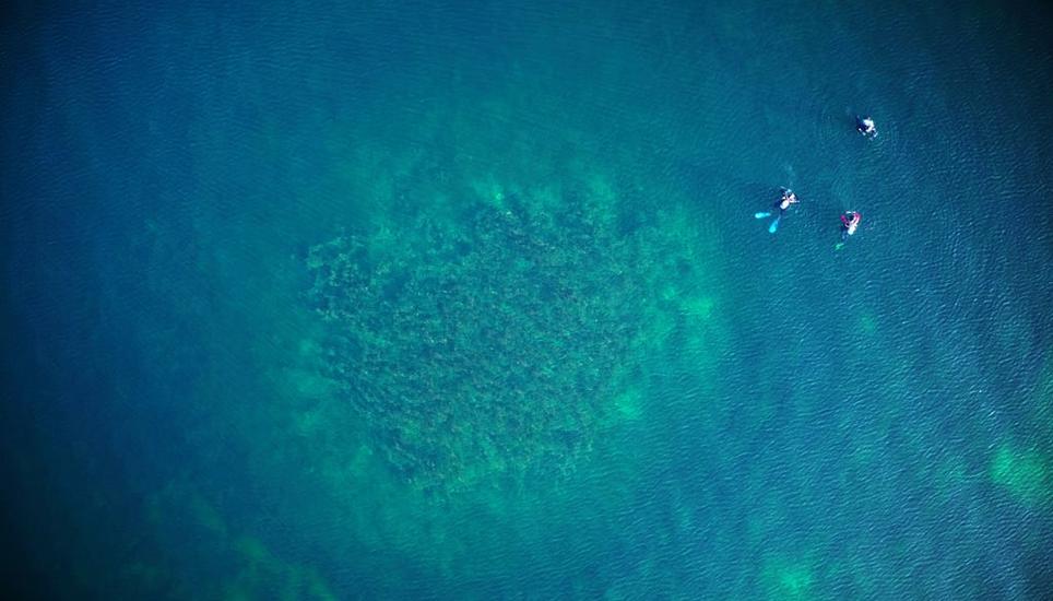 Erst aus der Luft lassen sich die Dimensionen der Steinhügel wahrnehmen: Drohnenaufnahme eines Hügels während Untersuchungen der Thurgauer Kantonsarchäologie. Bild: Octopus Foundation
