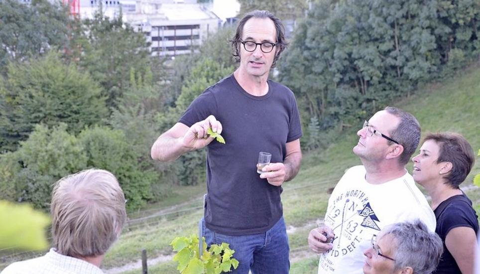 Winzer Christoph Stoll gibt den Vereinsmitgliedern des Neuhauser Rebbauvereins Tipps zur Pflege des Weins. Bild Saskia Baumgartner Weinberg, Regen, Rebbau