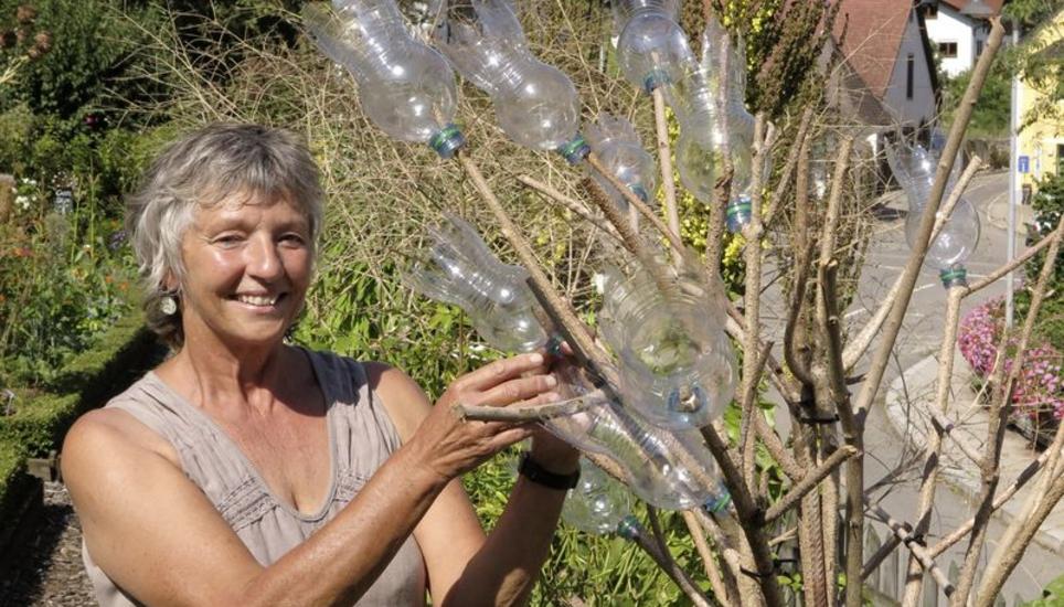 Kunst, Garten Gartentage