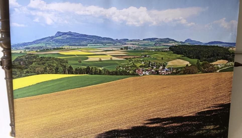 Naturaufnahmen machen einen nicht unwesentlichen Teil von Max Baumanns fotografischem Schaffen aus.
