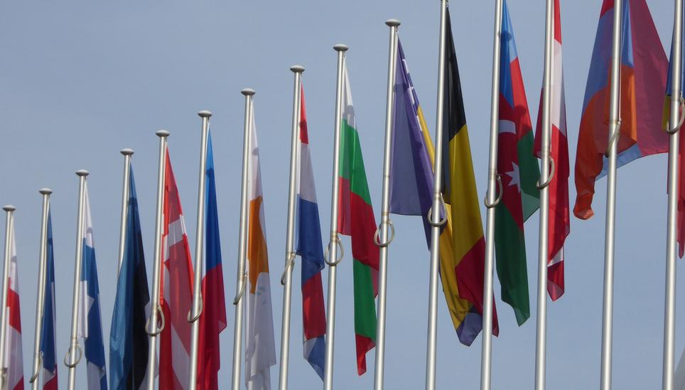 EU Flaggen Flag Europa
