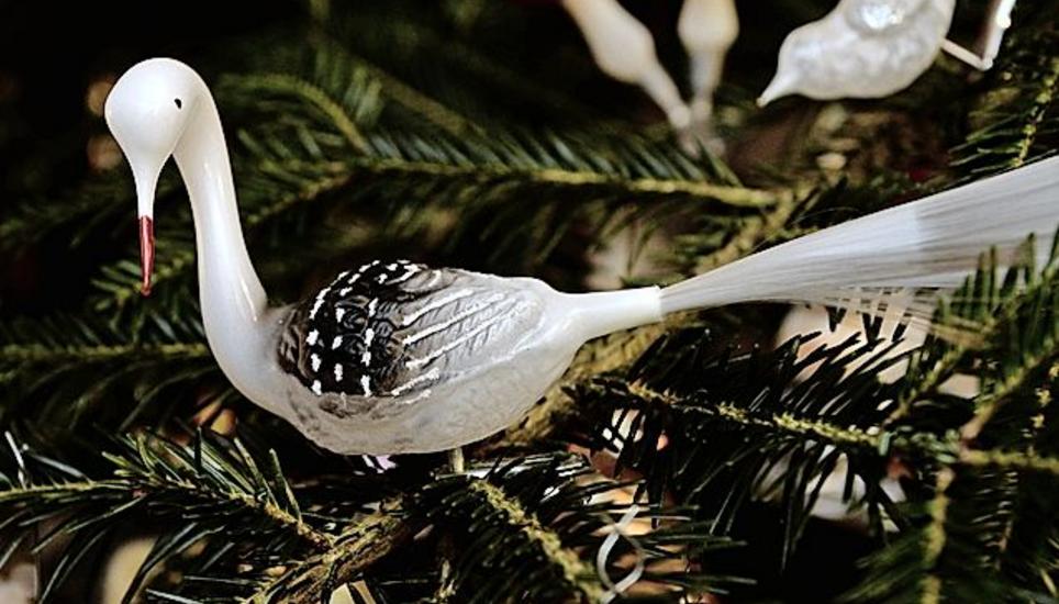 Kleine Vögel