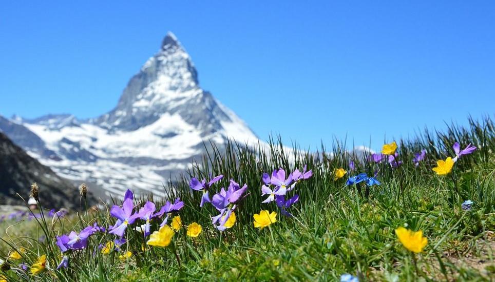Symbolbild: Pixabay