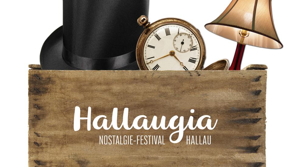 Das Hallaugia Nostalgie Festival verursachte ein Minus in der Kasse der Landfrauen. Bild: Hallaugia