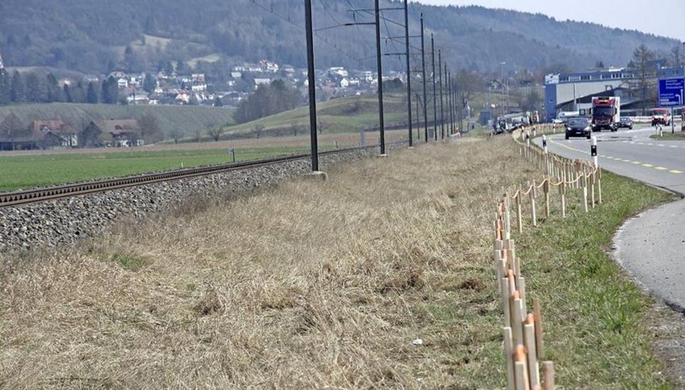 Die Vorbereitungen für den Ausbau der Doppelspurlinie zwischen St. Katharinental und dem Schaarenwald laufen. Am Montag ist Baustart. Bild Edith Fritschi
