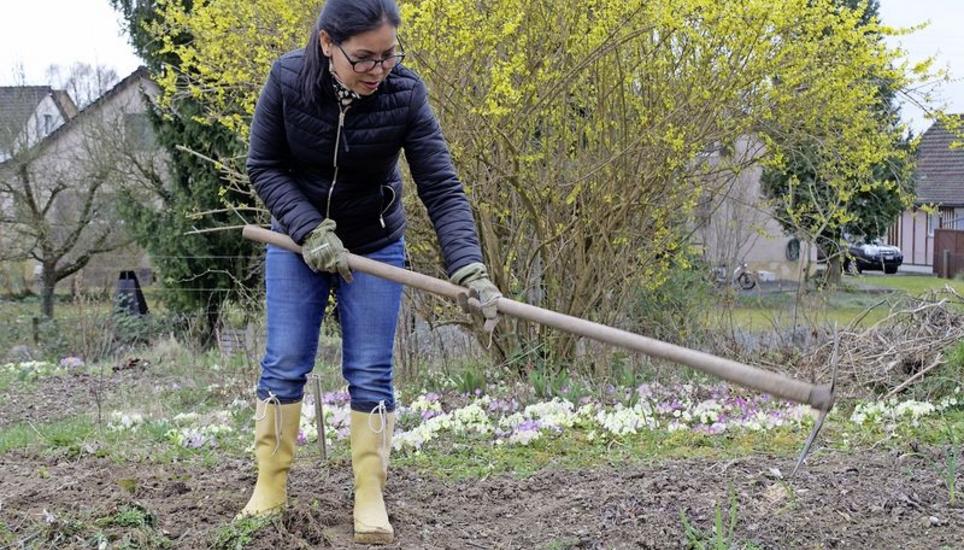 Lunnee Bosson bearbeitet ihr Beet im Gemeinschaftsgarten zum ersten Mal nach dem Winter. Das geerntete Gemüse wird sie mit ihrer Familie kochen. Bild: Clio Zubler