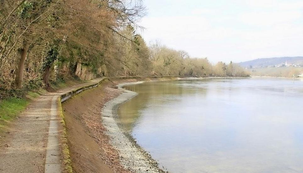 Der Rhein zwischen der «Rheinperle» und dem Campinglatz Läui. Das 900 Meter lange Uferstück bildet das Pilotprojekt der geplanten Rheinufersanierung. Bild: zvg