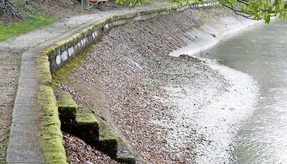 So sieht der heutige Uferschutz bei Niedrigwasser aus. Ersetzt werden soll er durch eine Kiesaufschüttung. Bild: Dieter Ritter