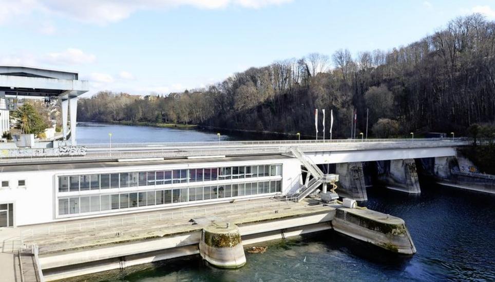 Die Rheinuferaufwertung ist noch längst nicht abgeschlossen: Bis zum Jahr 2023 soll um das Kraftwerk Schaffhausen eine Umgehungsrinne gebaut werden, die den Fischen als Aufstieg dienen soll. Bild: Selwyn Hoffmann
