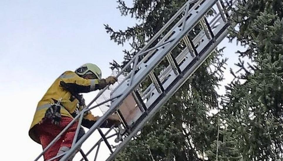 Die Feuerwehr Ausseramt begibt sich wegen einer Katze in luftige Höhe. Bild: zvg