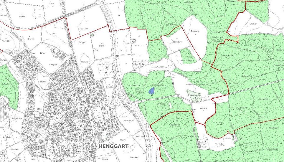 Der Rechtsstreit um das Jagdrevier in Henggart geht in eine weitere Runde. Bild: Radio Munot