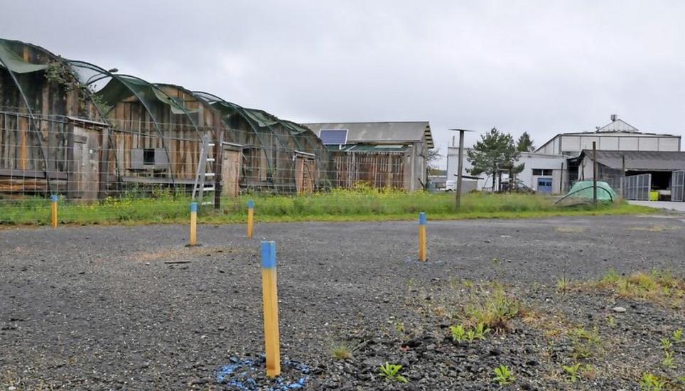 Dachsen (7 Einsprachen): Erst vor gut einem Jahr erstellte hier ein Falkner ein Vogelgehege mit Greifvögeln. Unweit vom Standort im Industriegebiet liegt auch die ARA.