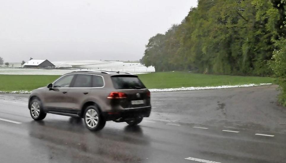Trüllikon 1 (9 Einsprachen): An der beliebten LKW-Transitstrecke von Ramsen her zwischen Trüllikon und Dickihof liegt dieser Standort am Waldrand.