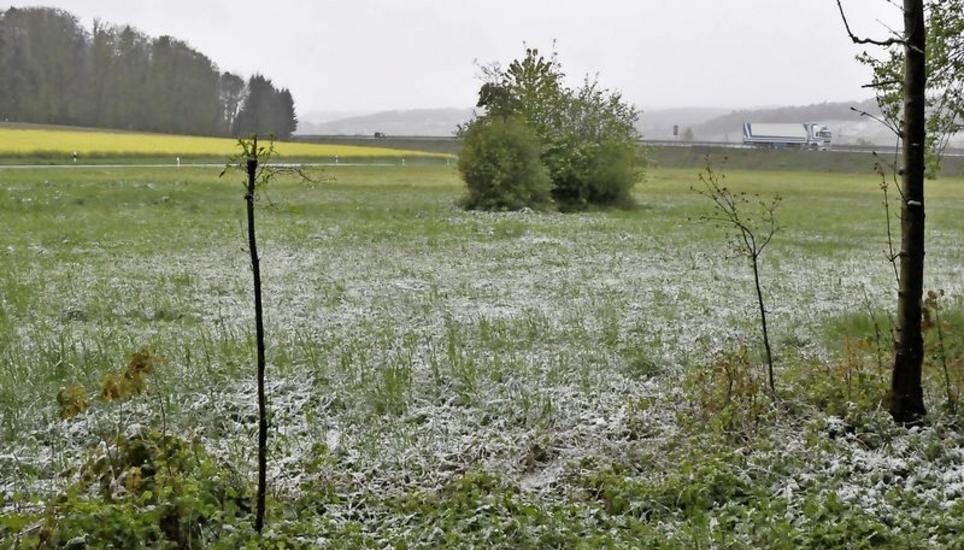 Trüllikon 2 (4 Einsprachen) liegt etwas verborgen auf dem freien Feld ebenfalls am Waldrand an der Schaffhauserstrasse zwischen Oerlingen und der A4.