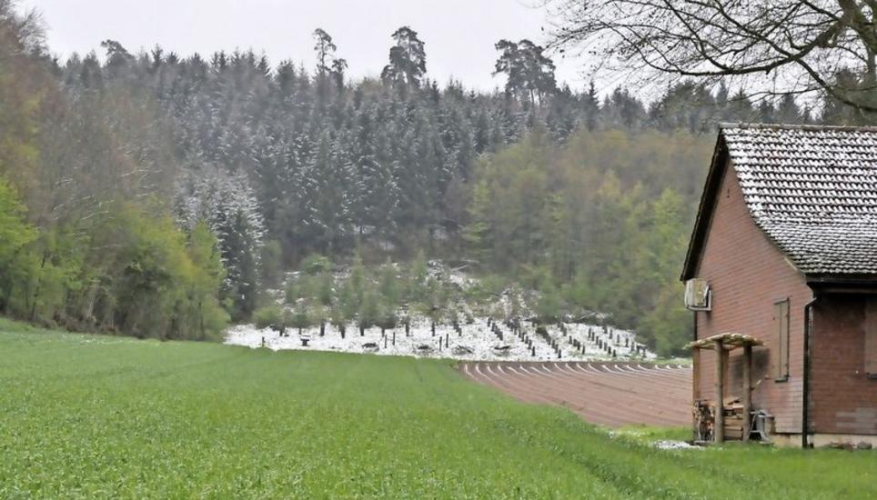Uhwiesen (15 Einsprachen): In die Schusslinie des ehemaligen 300-Meter-Standes am Fusse des früheren Zielhangs würde dieser Bohrplatz gebaut werden.
