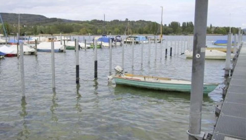 Im Hafen von Eschenz sorgen neue Stahlpfähle für Stabilität. Bild: zvg