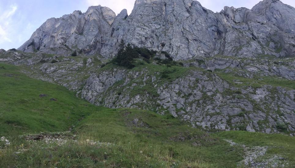 Unterhalb des Kreuzbergs ist der tödliche Absturz passiert. Bild: St. Galler Kantonspolizei