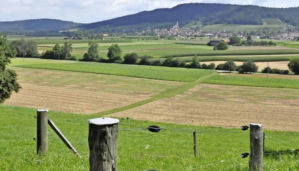 Waltalingen (hier vom Schloss Schwandegg aus in Richtung Stammerberg blickend) will seinen Steuerfuss 2018 gleich um 7 Prozentpunkte senken – und setzt damit vor der Fusionsabstimmung ein Zeichen, was den Ruf als «Steuerhölle» angeht. Bild: Mark Gasser