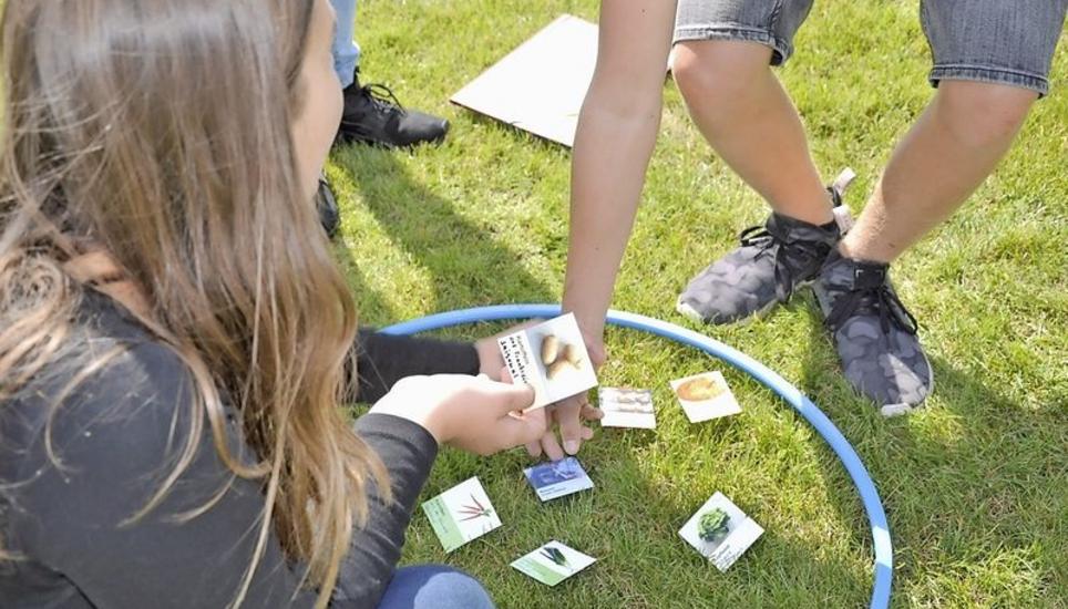 Beim Posten «Jäger und Sammler» stellten die Schüler ein klimafreundliches Menü zusammen und lernten, wie unsere Ernährung den Klimawandel beeinflusst. Bild: zvg