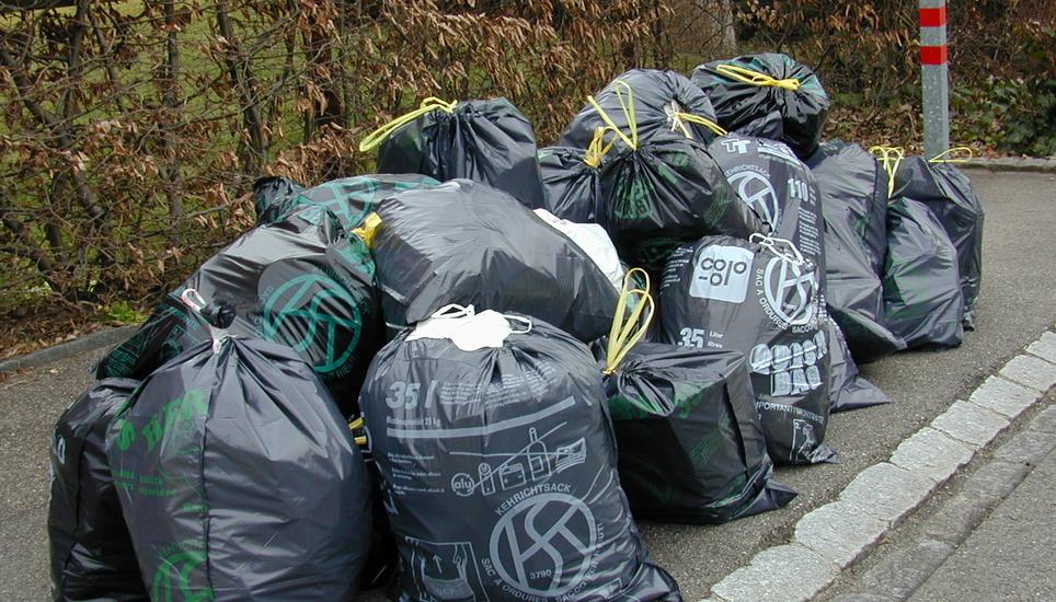 Das Thema der Abfallentsorgung beschäftigt in Neuhauen weiter. Bild: Archiv