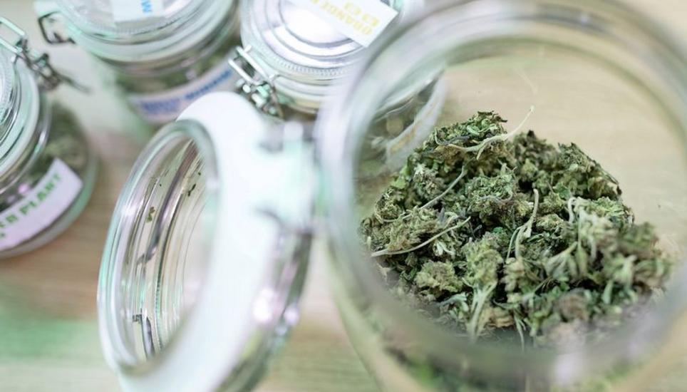 Der Kauf von Cannabis zu Genusszwecken bleibt auch innerhalb von Studien verboten. Bild: Key