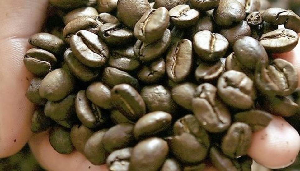 Im vergangenen Jahr tranken Schweizerinnen und Schweizer im Schnitt 1093 Tassen Kaffee pro Person. Bild: Key