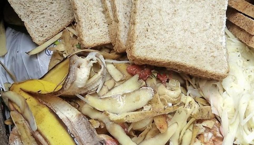 Ganz verhindern können die Neuhauser Food-Waste nicht. Bild: Key