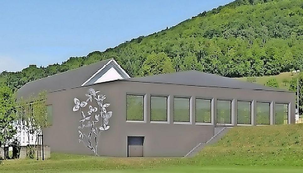 Um diesen Hallenneubau dreht sich alles: Er soll rund 3,4 Millionen Franken kosten. Bild: zvg