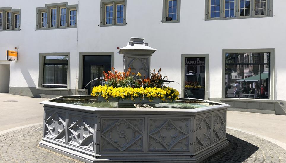 Ohne Spitze fehlt laut FDP-Grossstadtrat dem Brunnen «das gewisse Etwas». Er schlägt deshalb einen Schaffhauser Bock als Figur vor. Bild: Manuel von Burg