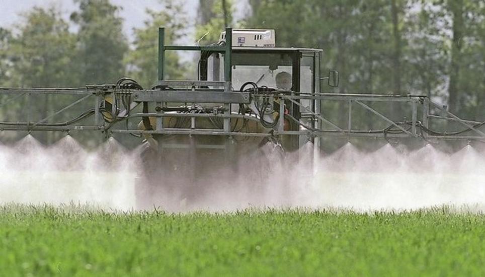 Über 2000 Tonnen Pestizide versprühen die Schweizer Bauern jedes Jahr. Bild: Key
