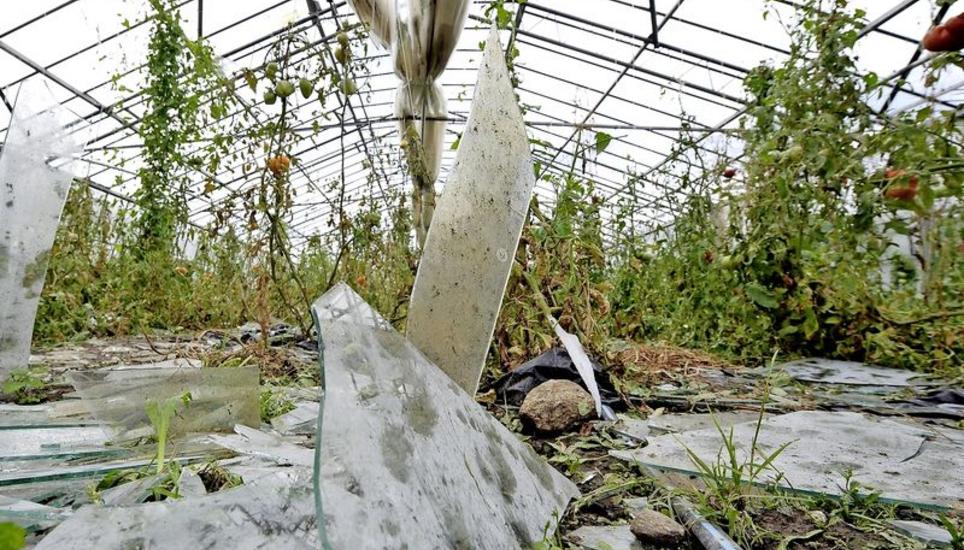 Ein durch Hagelschlag zerstörtes Gewächshaus. Bild: Key