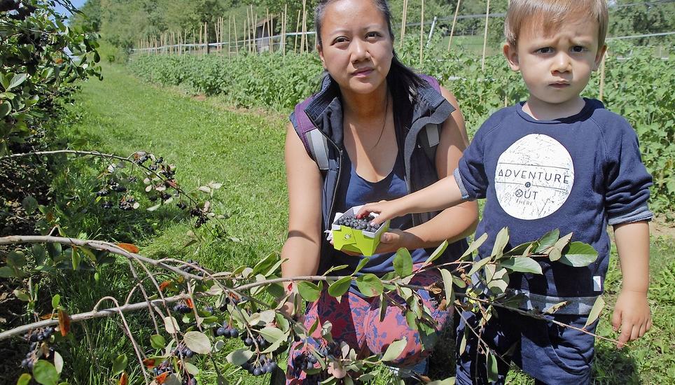 Mirko und sein Mami Lien aus Bachenbülach am Beerenpflücken. Bild Ruth Bossert