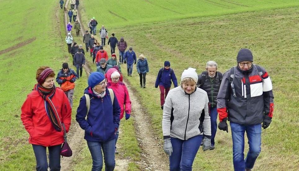 Die Thaynger Neujahrswanderer auf dem Weg vom Schnäggäbuck nach Barzheim. Bild: Theo Kübler