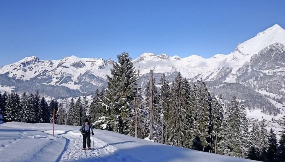 In den Wintermonaten ist Stefan Brauchli auf seinen Gemeindewanderungen auch mal mit Schneeschuhen unterwegs – wie hier im Toggenburg. Bild: zVg