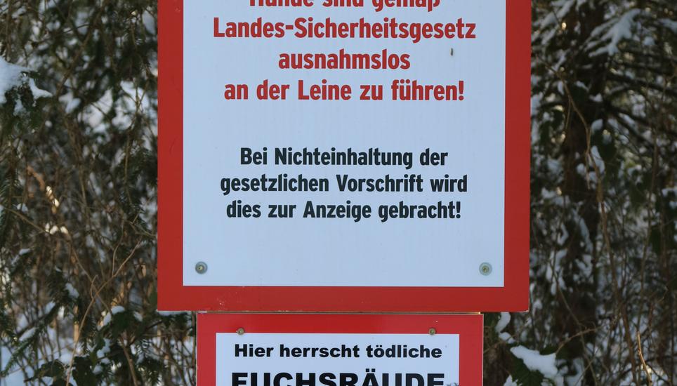 Hunde sollten nicht von der Leine gelassen werden. Symbolbild: Wikimedia