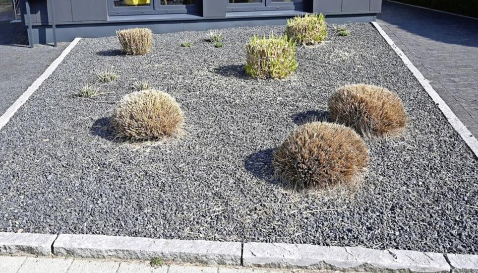 «Ein lebendiger Garten braucht Pflege und Zuwendung. Er ist eine Energiequelle und gibt uns, im wahrsten Sinne des Wortes, Boden unter den Füssen», schreibt Barbara Gehring.