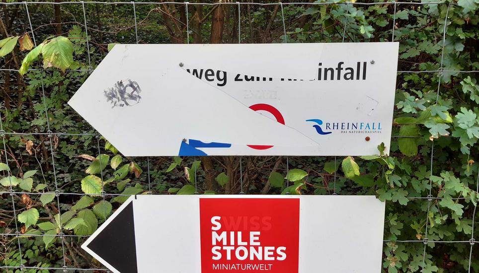 Wo geht es hier zum Rheinfall? Bild: Saskia Baumgartner