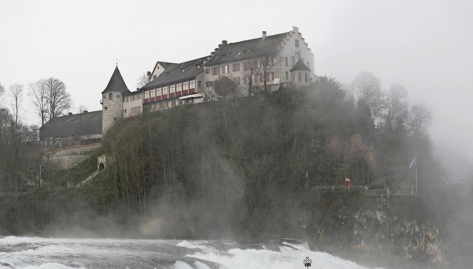 Die unmittelbare Umgebung des Schlosses am Rheinfall könnte schon bald aufgewertet werden. Bild: Alexander Joho