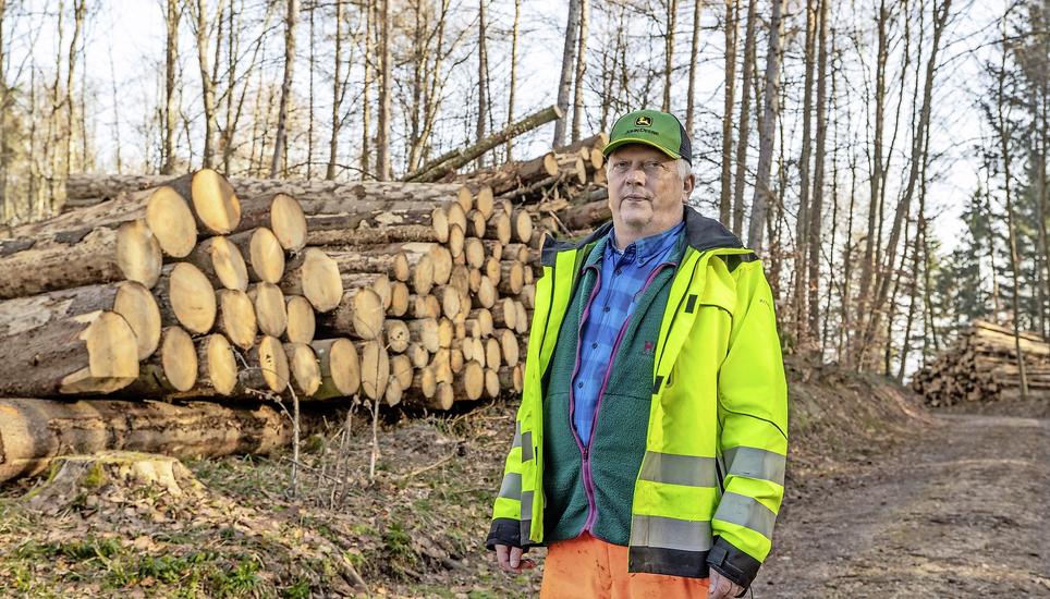 Förster Matthias Bürgin vor einem Käferholzstapel im Forstrevier Kohlfirst Nord. Bild: Roberta Fele