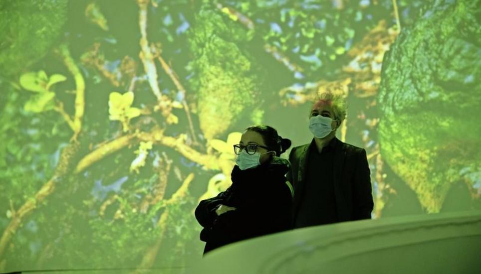 Blüten, die im Zeitraffer erwachen und Kirchtürme aus der Vogelperspektive – der Rheinfall-Film zeigt mehr als nur den Wasserfall. Bild: Roberta Fele