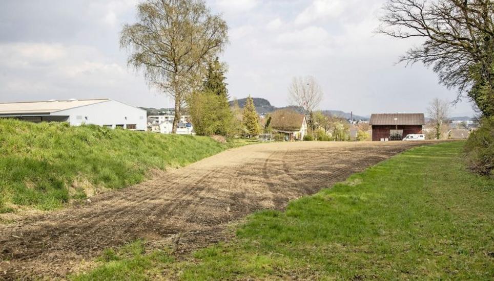 Das Grundstück liegt im Westen von Thayngen. Bild: Roberta Fele