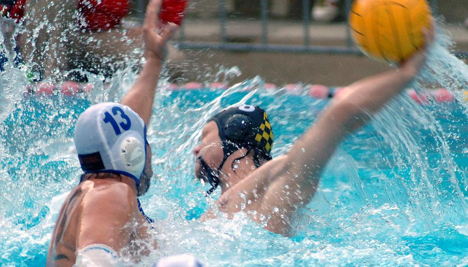Die Wasserballer des SC Schaffhausen stehen in den Playoff-Halbfinals. Am Donnerstag spielen sie gegen den aktuellen Schweizer Meister Kreuzlingen. Bild: SN-Archiv