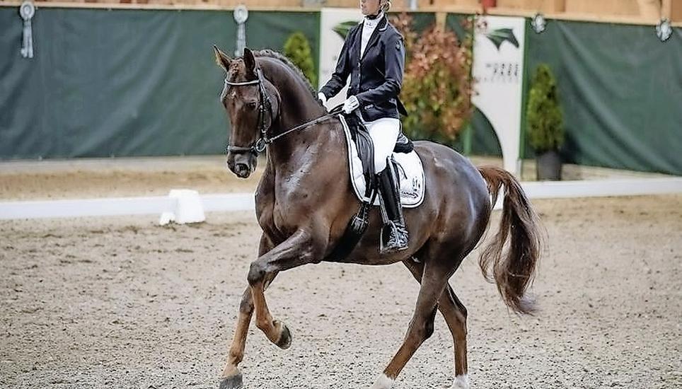Del Curto und Andrina Suter zeigen in der grossen Dielsdorfer Halle, was sie auf dem kleinen Dörflinger Sandviereck geübt haben. Bild: zVg